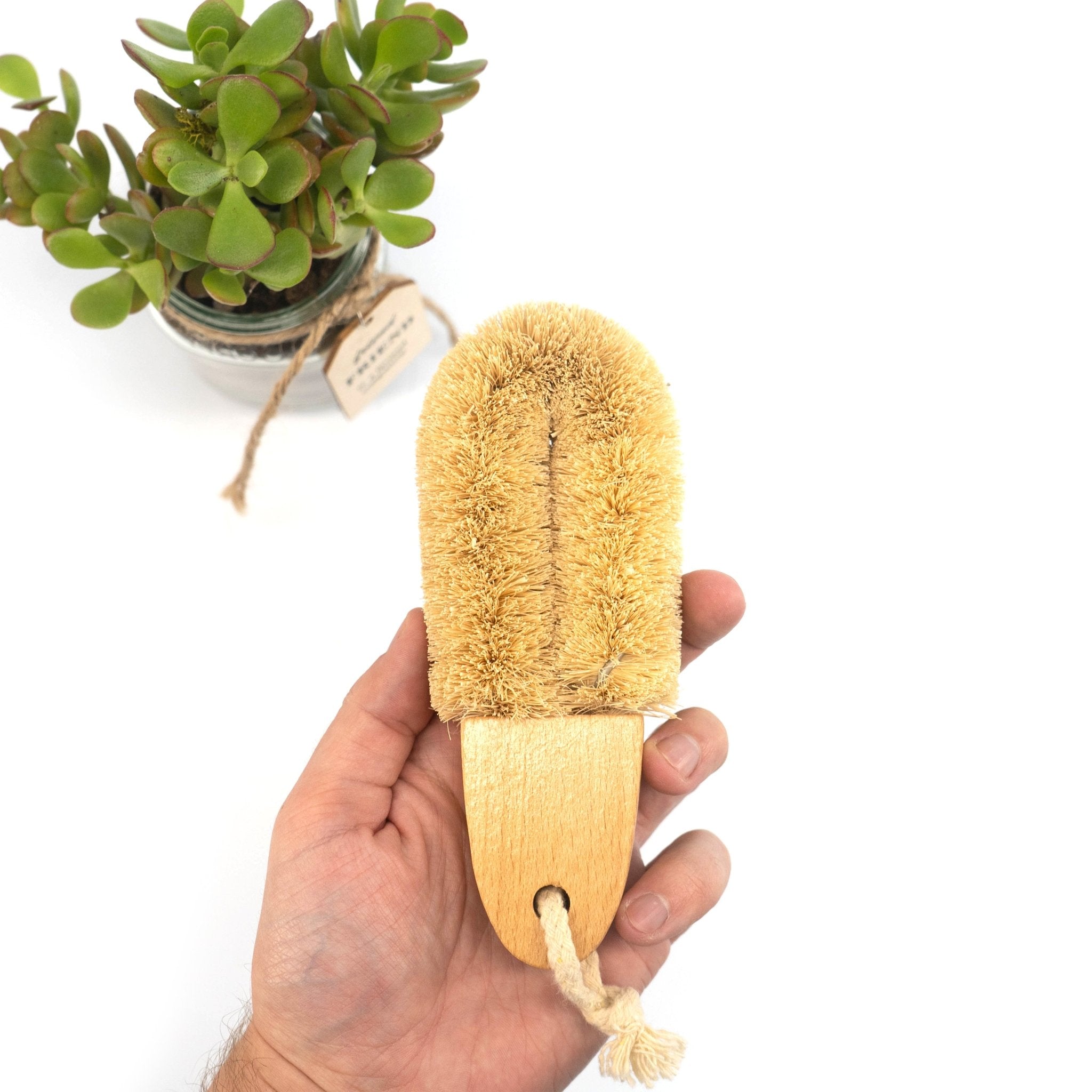 Natural Coconut Round Cup Cleaning Coir Brush Eco-Friendly
