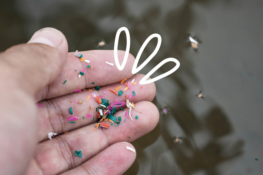 What Are Microplastics?