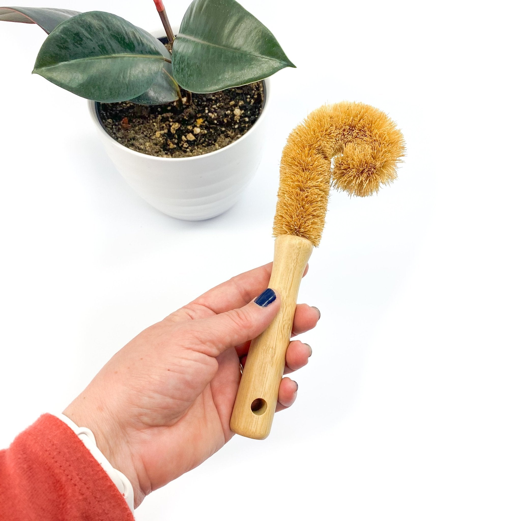 Cleaning Brushes: Coir - Marley's Monsters