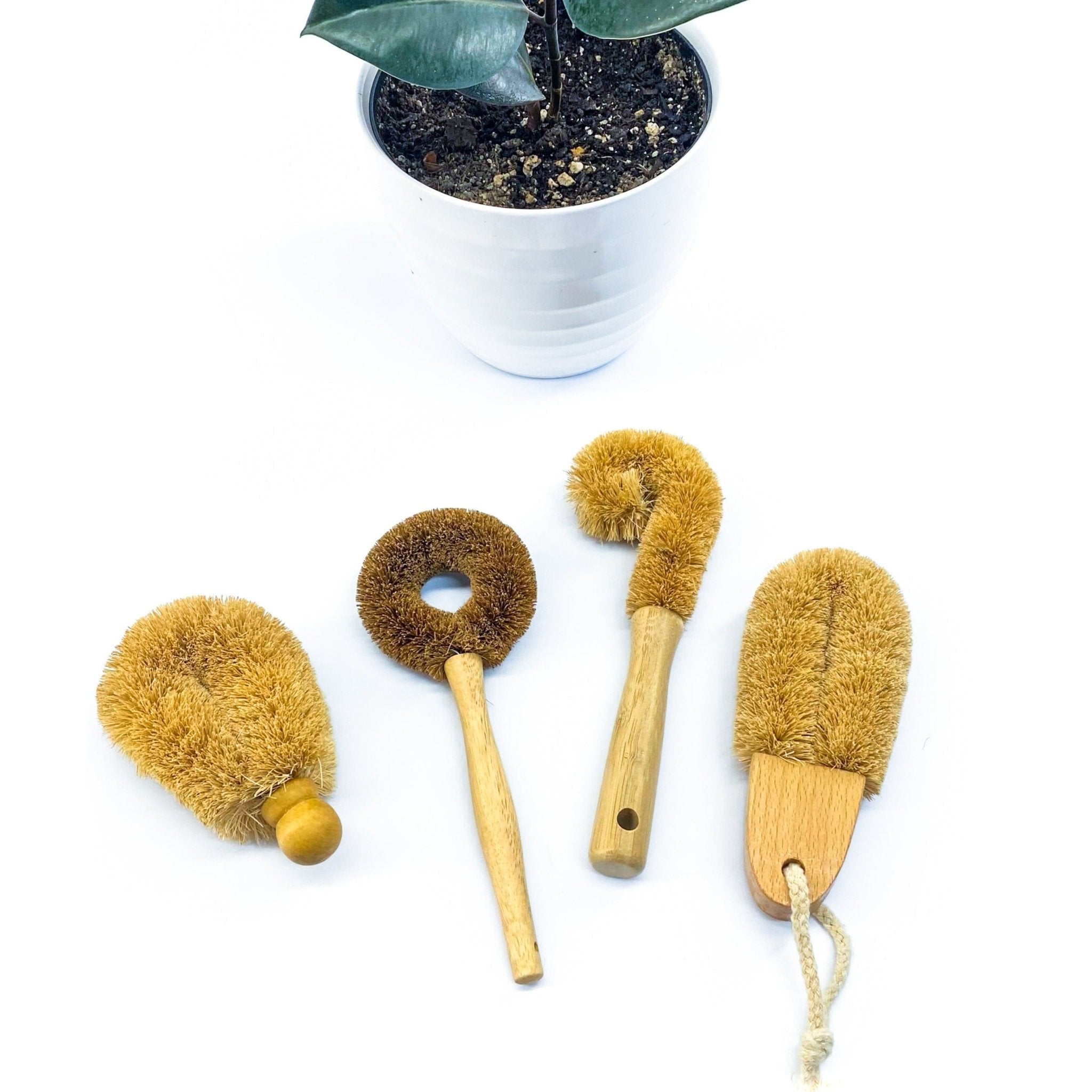 Cleaning Brushes: Coir - Marley's Monsters